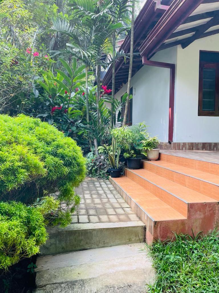 Chami'S Home Stay 米瑞莎 外观 照片