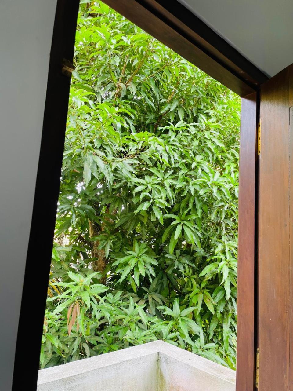 Chami'S Home Stay 米瑞莎 外观 照片